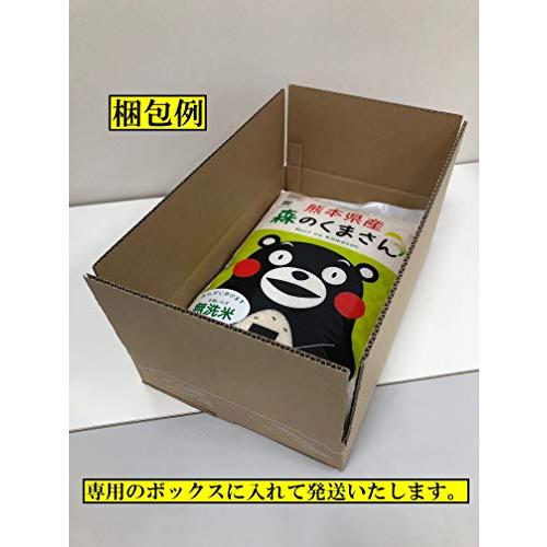 米　お米　５ｋｇ　特別栽培米　七城の米　白米　熊本県産　令和４年産