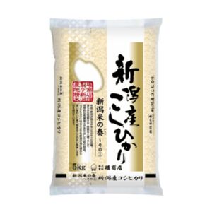 新潟産コシヒカリ5kg×3回 - 米,ごはん