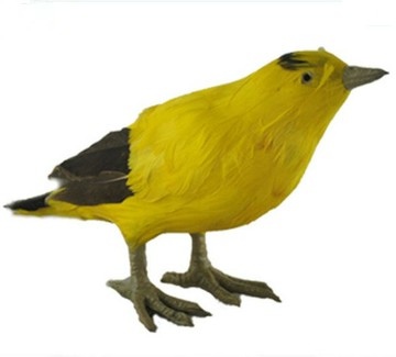 定做各種動物 展翅仿真羽毛鳥 彩色鳥 黃鸝鳥 小鳥 仿真鳥模型