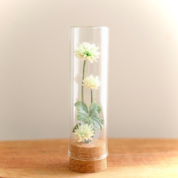 植物標本白三葉草紙花