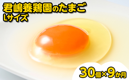 君嶋養鶏園のたまご Lサイズ 30個（27個＋割れ補償3個）×9ヶ月 計270個 定期便 9ヶ月 9か月 9ヵ月 卵 玉子 たまご 赤卵 赤たまご 生卵 国産 濃厚 鶏卵 コク 旨味 ※着日指定不可