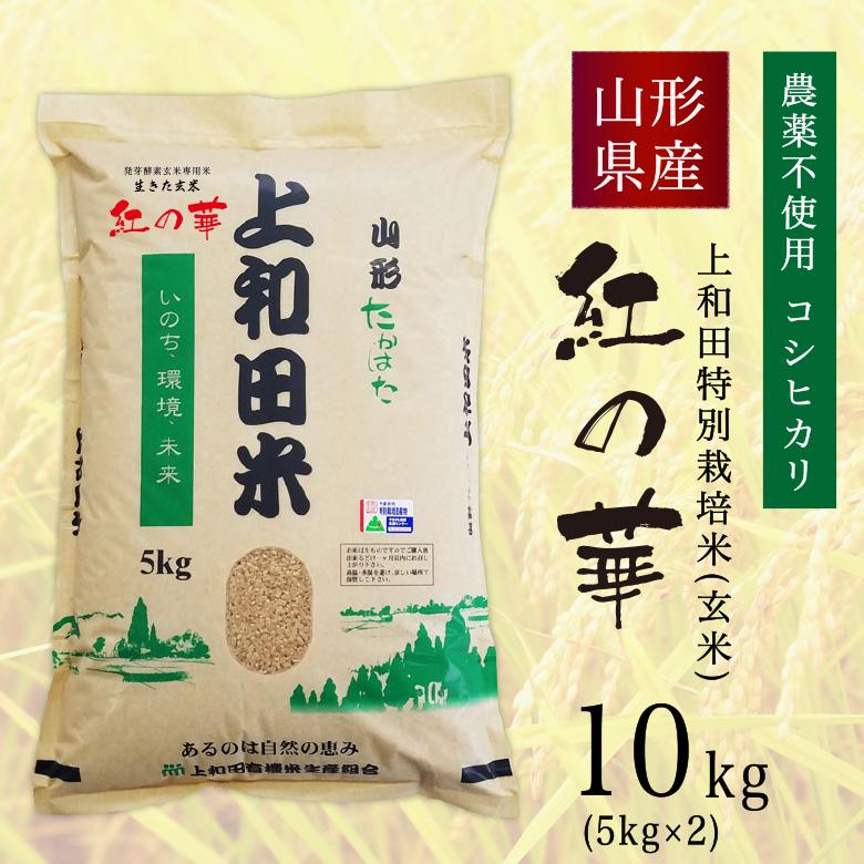 米 新米 コシヒカリ 10kg 農薬不使用 山形県産 お米 生きた玄米 紅の華 令和5年産 特A米 特別栽培米 上和田米