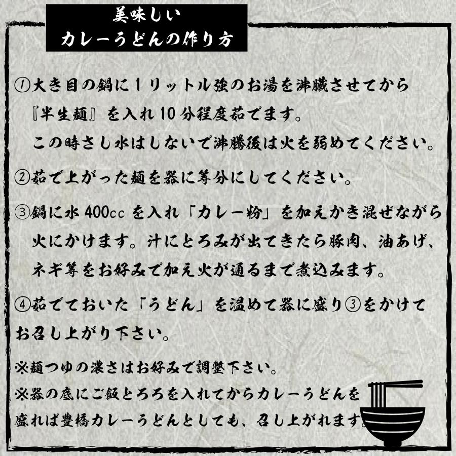 勢川 カレーうどん つゆ付き 1人前 5セット 半生タイプ レシピ付き 人気