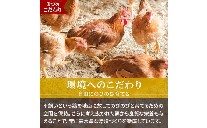 水炊きギフトセット 5～6人用 鶏飼う人 古処鶏 こしょどり 安心  天野商店 配送不可 離島