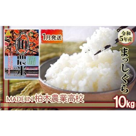 ふるさと納税 1月発送 令和5年産 まっしぐら 10kg 青森県平川市