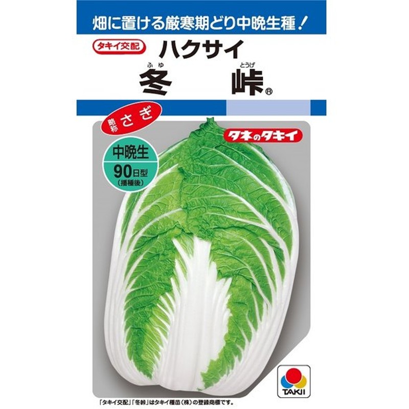 74%OFF!】 藤田種子 野菜 ギザフリレタス タネ 種 葉菜