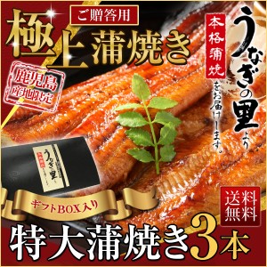 御歳暮 お歳暮 グルメ ギフト うなぎ  グルメ 食べ物 蒲焼き 国産 鹿児島産 特大蒲焼き3本セット 約200g×3 ギフトBOX特典付き  送料無料