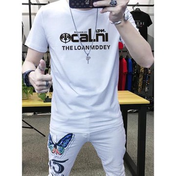 歐洲站高端冰絲t恤男滑料夏季2025新款印花短袖潮牌帥男裝上衣薄