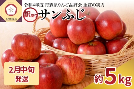 りんご 青森産 約5kg サンふじ