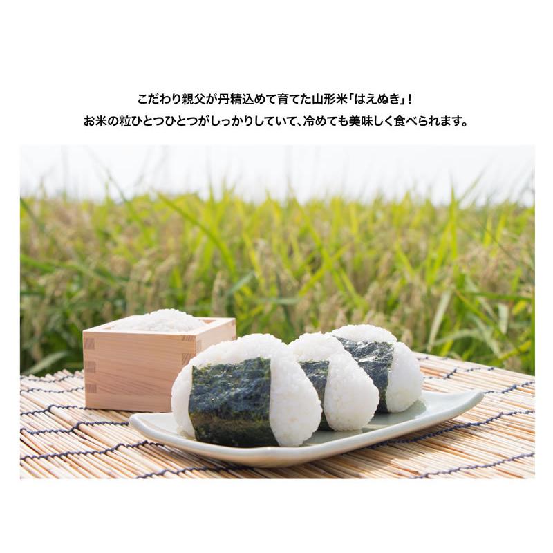 はえぬき新米5ｋｇ　山形県産　令和5年産　精白米　送料無料（沖縄離島除く）産直