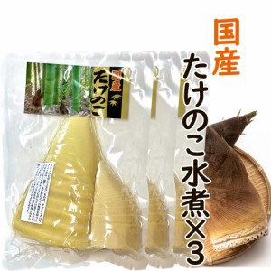 国産 たけのこ水煮 250g×3袋 水煮野菜 たけのこ タケノコ 筍 生たけのこ 孟宗竹 モウソウチク