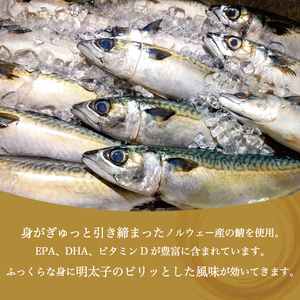 さば明太 6枚～秘伝の辛子明太子液たれ仕込み～ [a0212] 株式会社マル五 ※配送不可：離島添田町 ふるさと納税