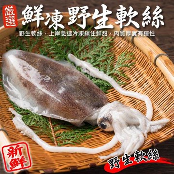 買3送3 海肉管家-鮮凍野生軟絲(共6隻/每隻約250~300g±10%)