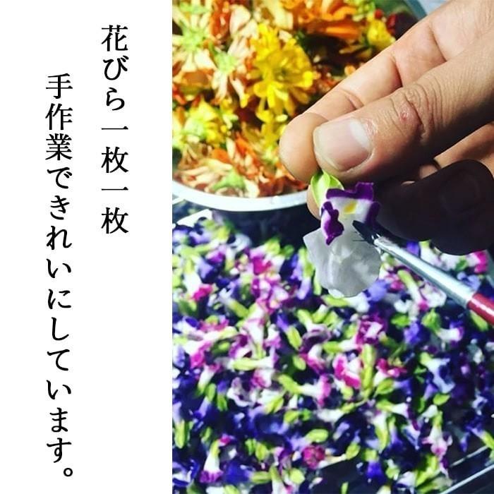 エディブルフラワー ドライ 食用花 食べられる 花 ベゴニア レッド 誕生日 プレゼント ギフト