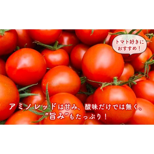 ふるさと納税 静岡県 静岡市 甘さと旨味がたっぷり！フルーティーな中玉トマト（アミノレッド）1kg 約30〜35玉入　川村農園[…