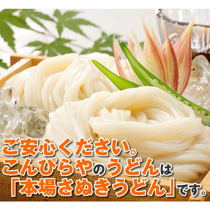 本場讃岐うどん 平打ち麺 1kg 半生 讃岐うどん 送料無料 ポスト投函便での配送(代引 後払 着日指定不可)