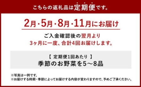 特別栽培季節のお野菜セットA(2・5・8・11月発送) 野菜 セット