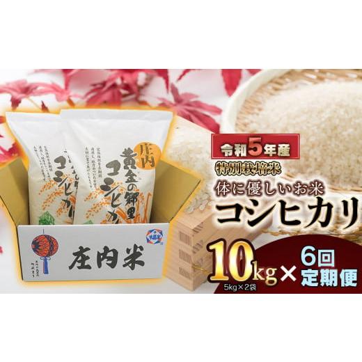 ふるさと納税 山形県 鶴岡市 新米 庄内産 特別栽培米 体に優しいお米・こしひかり10kg（5kg×2）