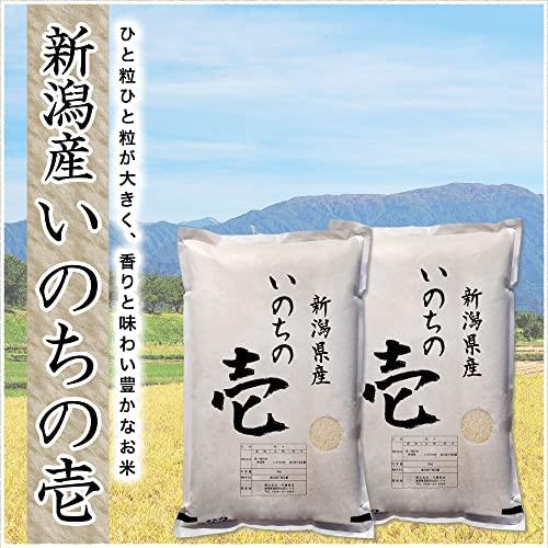 新潟県産 いのちの壱 白米 5kg 令和5年産