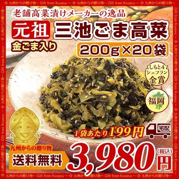 金ごま入り 元祖ごま高菜(200g)X20袋 ウコン塩漬込み高菜漬に焙煎胡麻を加えて仕上げた グルメ 送料無料 食品 ご飯のお供 漬物 b1 漬物 つけもの 送料無料