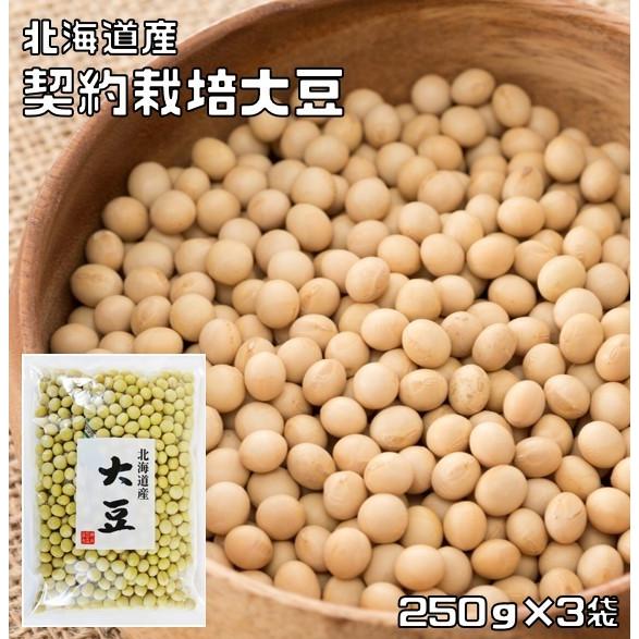 大豆 250g×3袋 豆力 契約栽培 北海道産 （メール便）だいず 国産 乾燥豆 国内産 豆類 乾燥大豆 和風食材 生豆