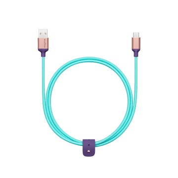 mophie USB-A 對 USB-C 充電連接線 (1 公尺) - 湖水綠色