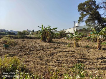 綠線G13站|河底段|都內農地｜桃園市蘆竹區河底段