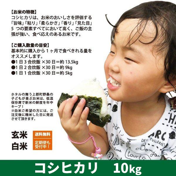 令和5年度産　コシヒカリ　精米　白米　10kg（10kg×1袋）　兵庫県上郡町産　送料無料