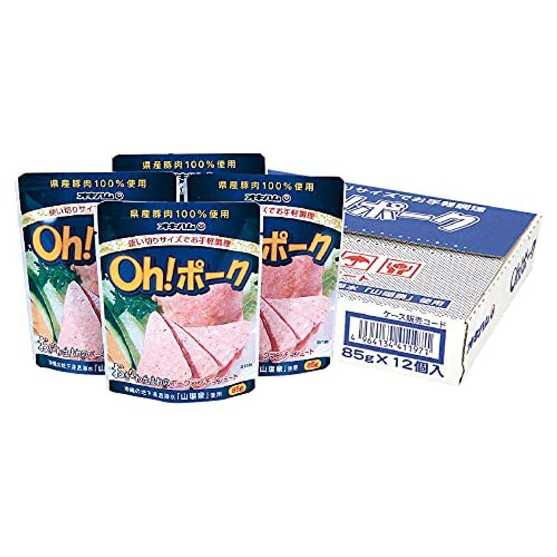 ギフト Oh ポーク スタンド12点セット H-19 オキハム 沖縄県産豚肉100％使用 沖縄料理に欠かせないポークランチョンミートを便利な