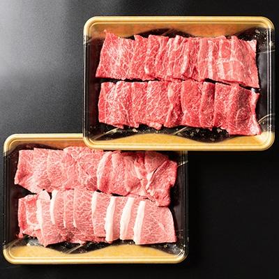 ふるさと納税 村山市 焼肉セット　800g(カタ400g・モモ400g)