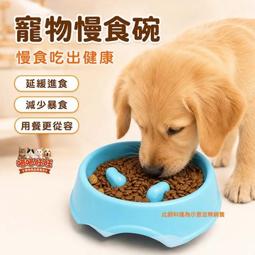 【喵喵旺旺B018】慢食碗 寵物碗/寵物飼料碗/寵物餵食/狗碗/狗狗碗/寵物用品/狗狗餵食