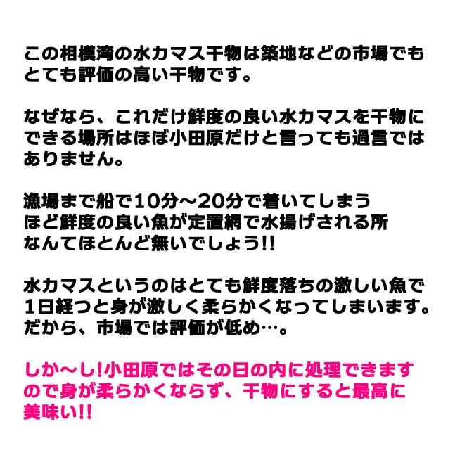 かます 干物 国産・10枚入自分の子供にも自信をもって食べさせています！