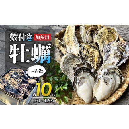 ふるさと納税 殻付き牡蠣(加熱用)　一斗缶 岡山県備前市