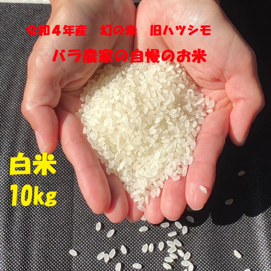 令和５年産　☆新米☆　白米　10kg　ハツシモ　岐阜県産　幻のお米　米　減農薬　有機栽培