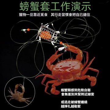 隔日達熱銷🎈 螃蟹圈 套蟹神器 螃蟹套 捕蟹器 釣螃蟹 螃蟹籠 誘餌籠捕蟹 螃蟹籠 抓蟹工具抓螃蟹 12個圈