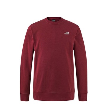 The North Face U YOTH CREW GRAPHIC - AP 男女 圓領套頭衫 NF0A8DQY0VO