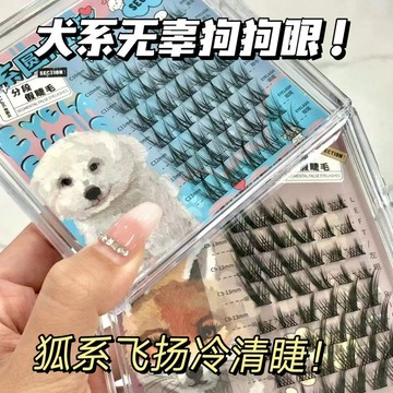 【🌻頂不住！超萌狗狗眼~】BQI犬系狐系假睫毛 圓臉款 飛揚款 自然仿真 濃密單簇 純欲漫畫眼 媽生感仙子毛 新手細黑梗