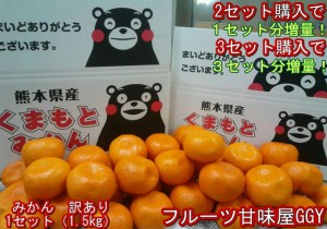 みかん　訳あり　１セット1.5kg　熊本産　２セット購入で１セットおまけ！３セット購入で3セットおまけ！熊本産 ご家庭用　フ