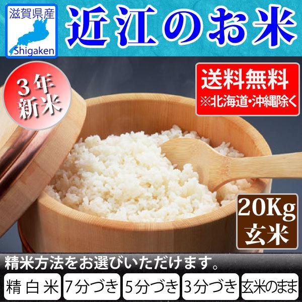 令和5年産 近江のお米 滋賀県産10割 20kg玄米 10Kg×2本 お好きな分つきに 健康応援  近江米 送料無料 一部地域を除く