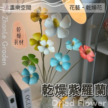 紫羅蘭 綜合乾燥花 永生花 不凋花 卡斯比亞 星辰花 插花花材 裝飾花 居家裝飾【盞樂空間】