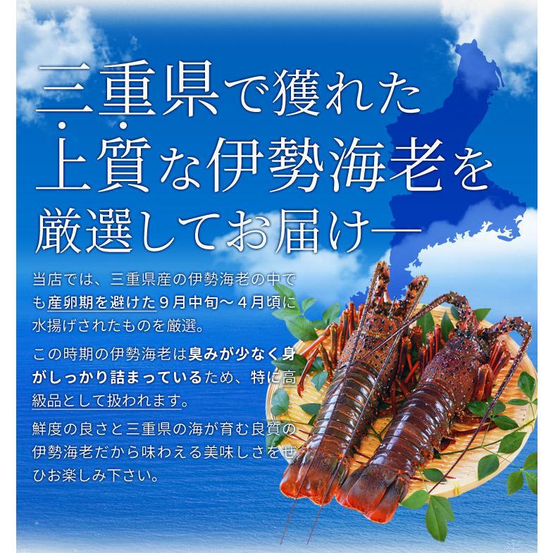 伊勢海老半身 大サイズ２個 鮮度の良い三重県産伊勢海老を瞬間凍結 調理しやすいよう半分にカット 海鮮 バーベキュー BBQ テルミドール イセエビ いせえび