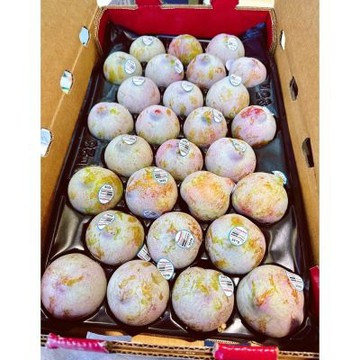 【帕查嬤嬤】美國 加州 蜥蜴蛋李 8顆裝｜美國進口水果