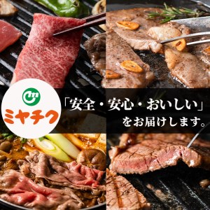 ＜宮崎牛・3D冷凍＞6部位食べ比べスライス(合計600g)