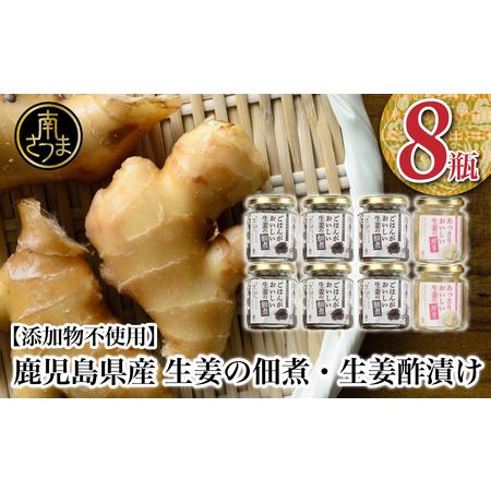 ふるさと納税 生姜の佃煮・生姜酢漬け 2種 計8個 佃煮 つくだ煮 セット 珍味 惣菜 生姜 しょうが 鹿児島 エスランドル 南さつ.. 鹿児島県南さつま市