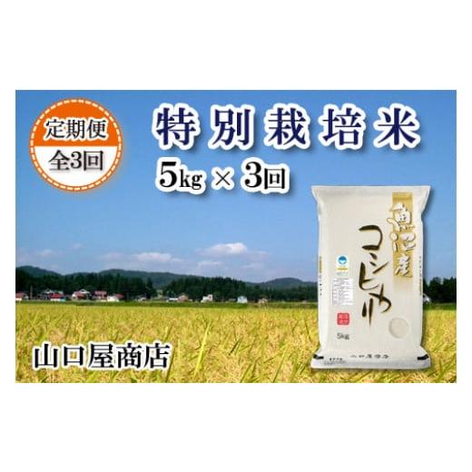 ふるさと納税 新潟県 十日町市 ★令和5年産★“特別栽培米” 魚沼産コシヒカリ 5kg