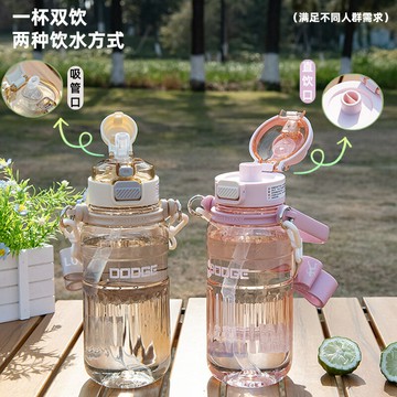 大容量道奇路途風光雙飲塑膠杯夏天吸管杯子女新款2024塑膠杯學生