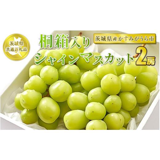 ふるさと納税 茨城県 守谷市 桐箱入りシャインマスカット　2房※2023年8月〜2024年1月下旬頃に順次発送予定