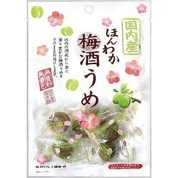 日本山梨縣 野澤梅酒梅(190g/包)【現貨】