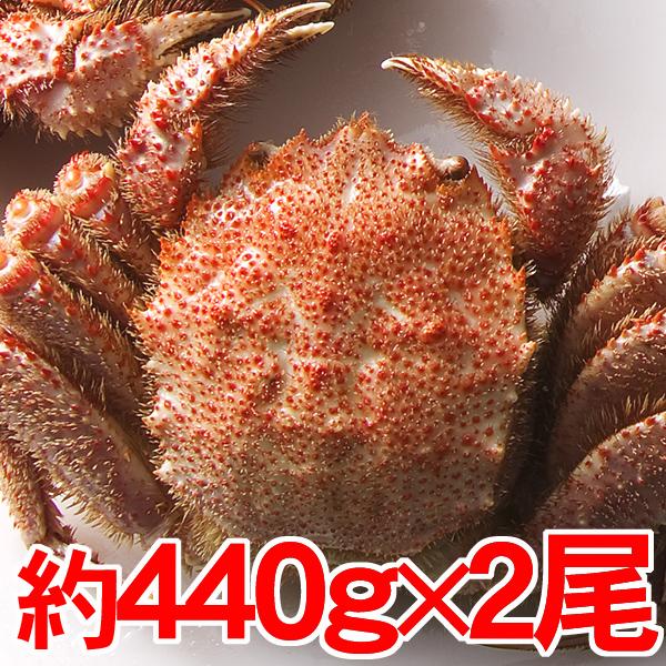 北海道産 毛がに大2尾 約440g 2尾 取り寄せ オープン記念