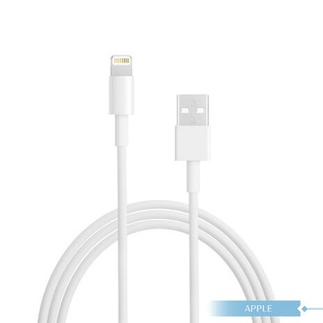 Apple蘋果副廠 Lightning to USB-A 連接線-100cm,密封裝【支援AirPods系列】